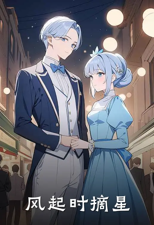 风起时摘星