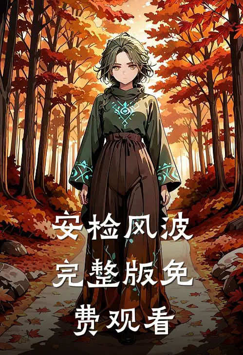 安检风波完整版免费观看